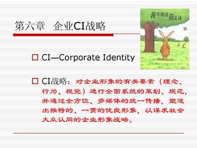 企業(yè)CI戰(zhàn)略與企業(yè)形象策劃