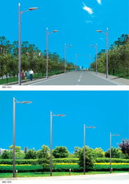 道路照明新選擇 揚(yáng)州市騰飛鋼桿照明器材內(nèi)江分公司DBD 013/014單臂燈評(píng)測(cè)